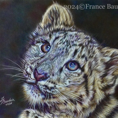 Snow Leopard cub - 26 hours
Blue Pastemal
9.5" x 12.5"
Ref: My own photo